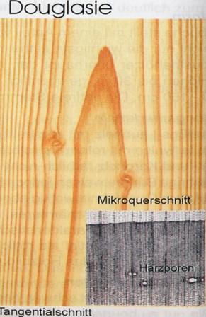 Grafik4